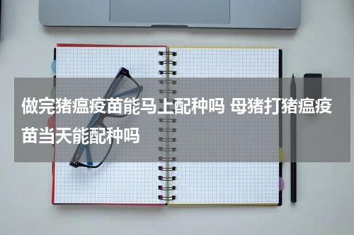 做完猪瘟疫苗能马上配种吗 母猪打猪瘟疫苗当天能配种吗