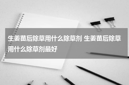 生姜苗后除草用什么除草剂 生姜苗后除草用什么除草剂最好
