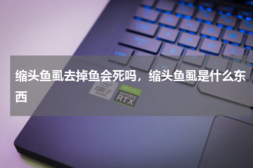 缩头鱼虱去掉鱼会死吗，缩头鱼虱是什么东西