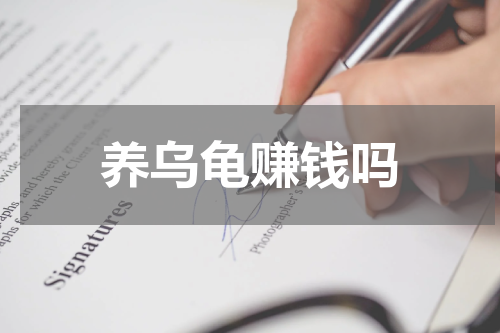 养乌龟赚钱吗