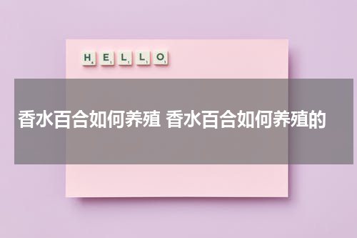 香水百合如何养殖 香水百合如何养殖的