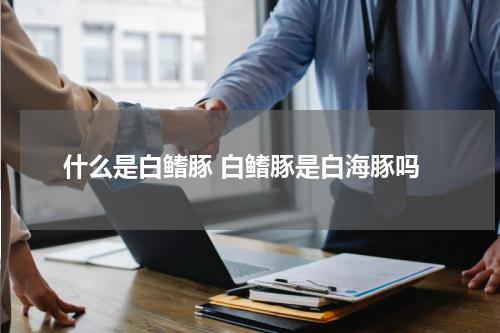 什么是白鳍豚 白鳍豚是白海豚吗