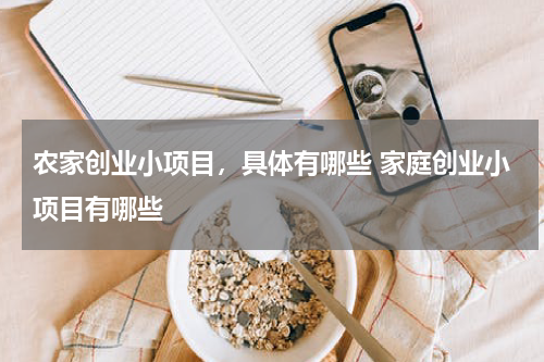 农家创业小项目，具体有哪些 家庭创业小项目有哪些