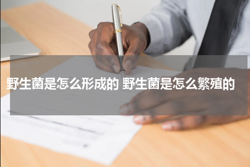 野生菌是怎么形成的 野生菌是怎么繁殖的
