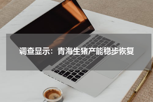 调查显示：青海生猪产能稳步恢复