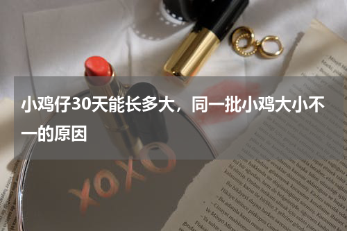 小鸡仔30天能长多大，同一批小鸡大小不一的原因