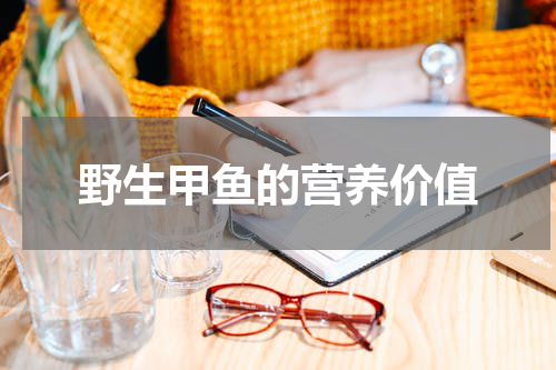 野生甲鱼的营养价值