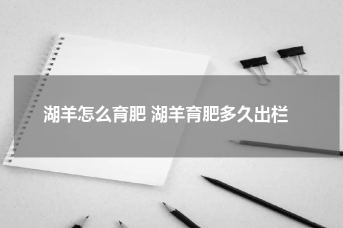 湖羊怎么育肥 湖羊育肥多久出栏