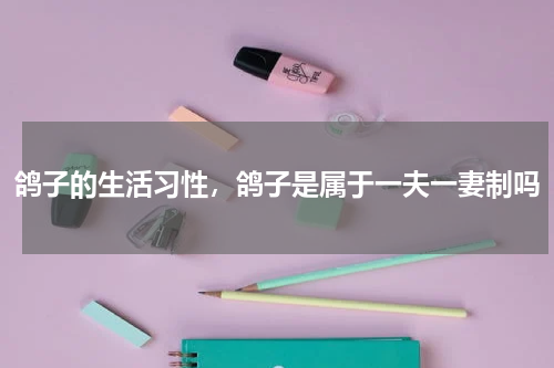 鸽子的生活习性，鸽子是属于一夫一妻制吗