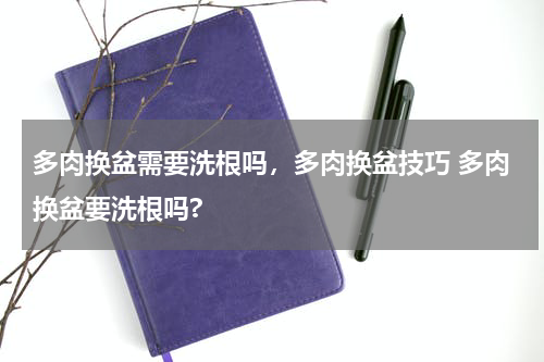 多肉换盆需要洗根吗，多肉换盆技巧 多肉换盆要洗根吗?