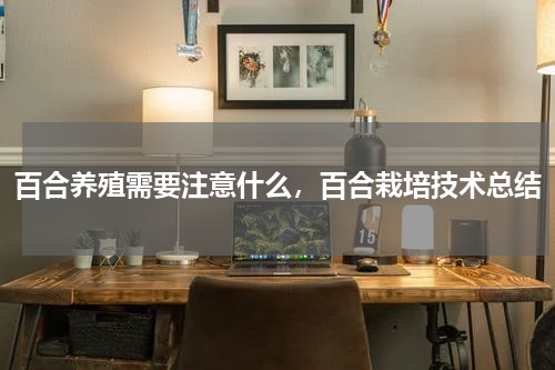 百合养殖需要注意什么，百合栽培技术总结