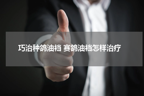 巧治种鸽油裆 赛鸽油裆怎样治疗