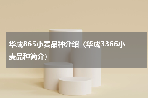 华成865小麦品种介绍（华成3366小麦品种简介）