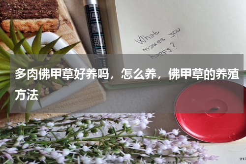 多肉佛甲草好养吗，怎么养，佛甲草的养殖方法