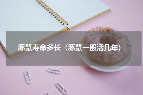 豚鼠寿命多长（豚鼠一般活几年）