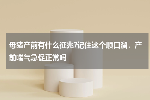 母猪产前有什么征兆?记住这个顺口溜，产前喘气急促正常吗
