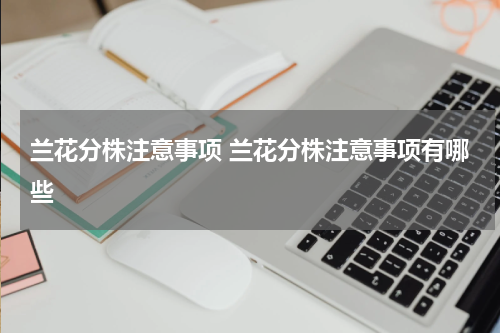 兰花分株注意事项 兰花分株注意事项有哪些