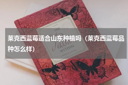 莱克西蓝莓适合山东种植吗（莱克西蓝莓品种怎么样）