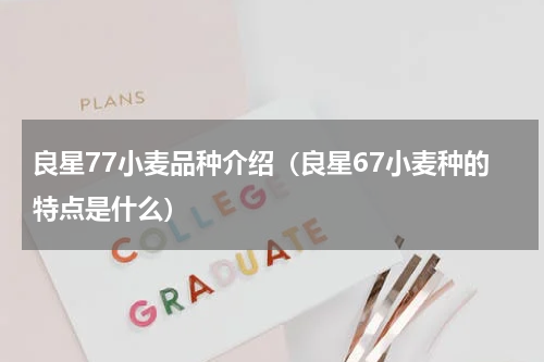 良星77小麦品种介绍（良星67小麦种的特点是什么）