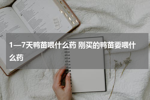 1—7天鸭苗喂什么药 刚买的鸭苗要喂什么药