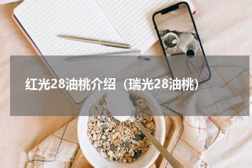 红光28油桃介绍（瑞光28油桃）