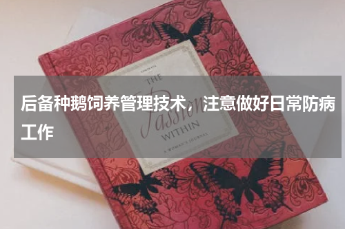 后备种鹅饲养管理技术，注意做好日常防病工作