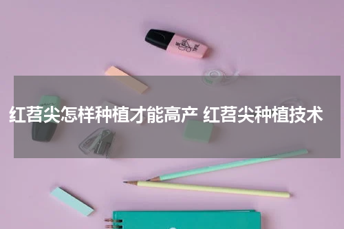 红苕尖怎样种植才能高产 红苕尖种植技术