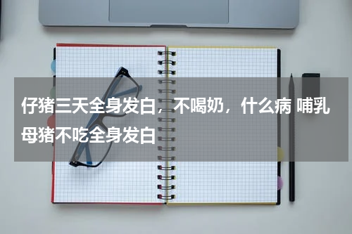 仔猪三天全身发白，不喝奶，什么病 哺乳母猪不吃全身发白