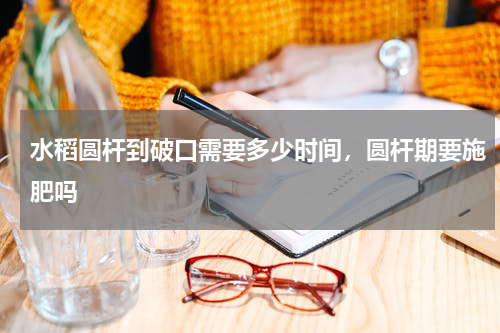 水稻圆杆到破口需要多少时间，圆杆期要施肥吗
