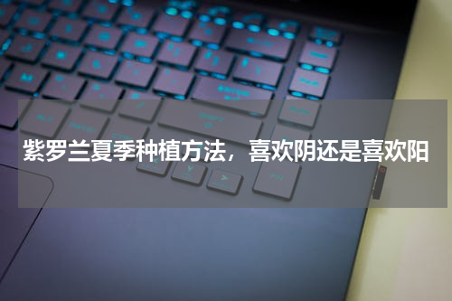紫罗兰夏季种植方法，喜欢阴还是喜欢阳