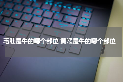 毛肚是牛的哪个部位 黄喉是牛的哪个部位