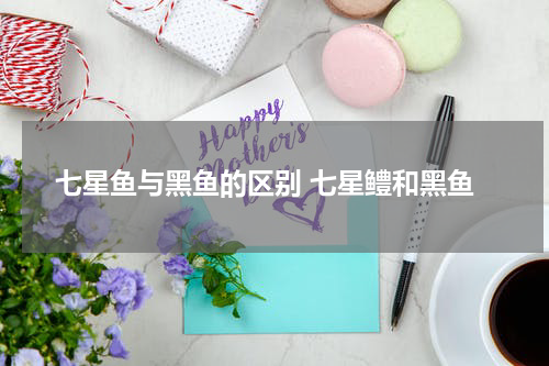 七星鱼与黑鱼的区别 七星鳢和黑鱼