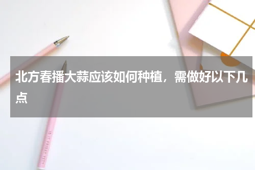北方春播大蒜应该如何种植，需做好以下几点