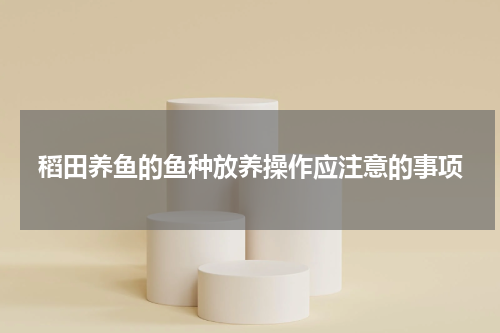 稻田养鱼的鱼种放养操作应注意的事项