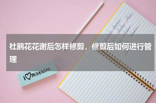 杜鹃花花谢后怎样修剪，修剪后如何进行管理