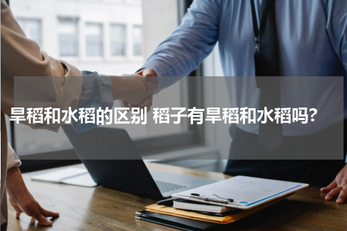 旱稻和水稻的区别 稻子有旱稻和水稻吗?