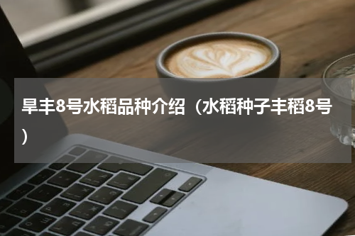 旱丰8号水稻品种介绍（水稻种子丰稻8号）