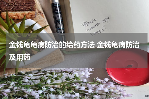 金钱龟龟病防治的给药方法 金钱龟病防治及用药
