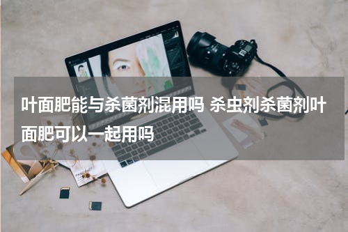 叶面肥能与杀菌剂混用吗 杀虫剂杀菌剂叶面肥可以一起用吗