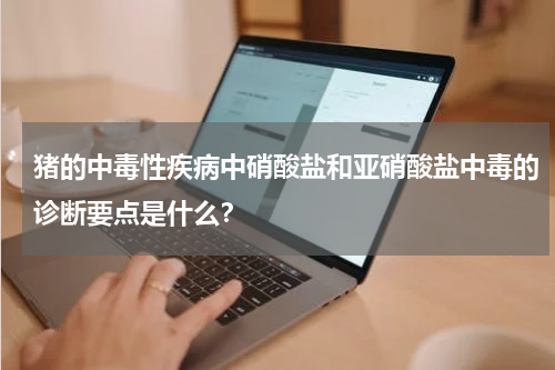 猪的中毒性疾病中硝酸盐和亚硝酸盐中毒的诊断要点是什么？