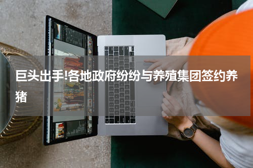 巨头出手!各地政府纷纷与养殖集团签约养猪