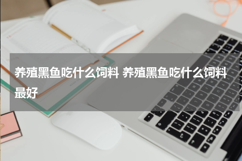 养殖黑鱼吃什么饲料 养殖黑鱼吃什么饲料最好