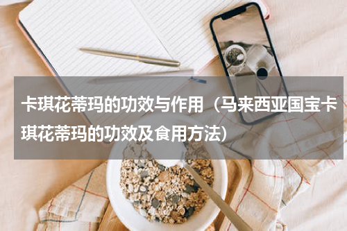 卡琪花蒂玛的功效与作用（马来西亚国宝卡琪花蒂玛的功效及食用方法）