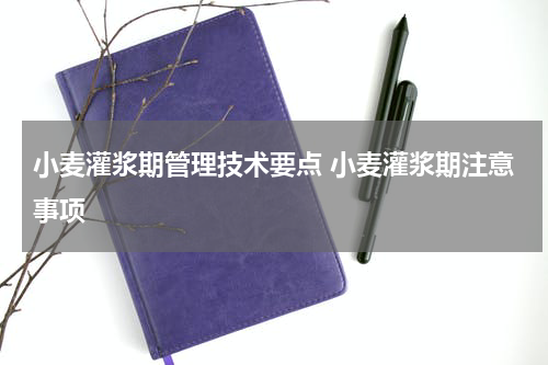 小麦灌浆期管理技术要点 小麦灌浆期注意事项