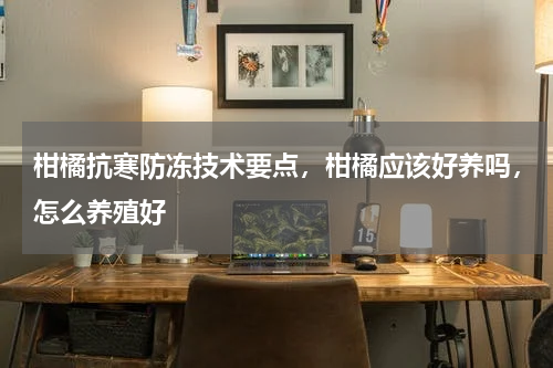 柑橘抗寒防冻技术要点，柑橘应该好养吗，怎么养殖好