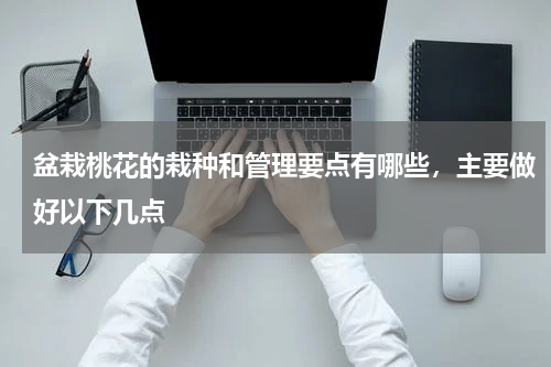盆栽桃花的栽种和管理要点有哪些，主要做好以下几点