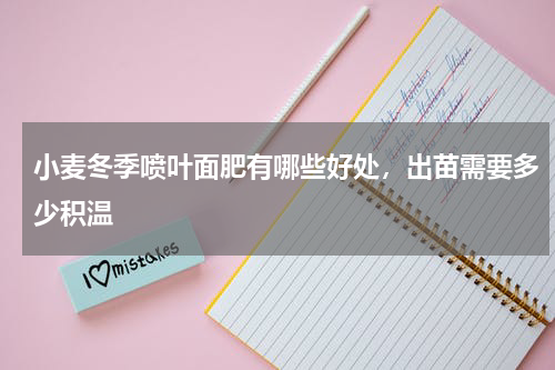 小麦冬季喷叶面肥有哪些好处，出苗需要多少积温