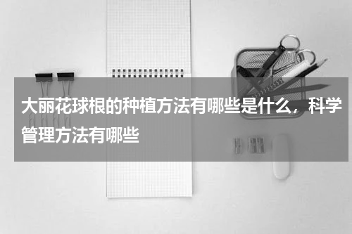 大丽花球根的种植方法有哪些是什么，科学管理方法有哪些