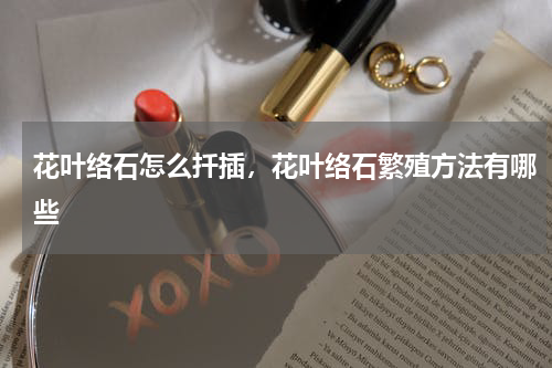花叶络石怎么扦插，花叶络石繁殖方法有哪些