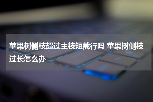苹果树侧枝超过主枝短截行吗 苹果树侧枝过长怎么办